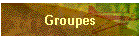 Groupes