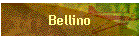 Bellino