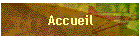 Accueil